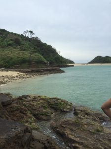 辰の島の海岸